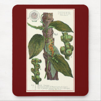 Tapis De Souris Herbes et épices alimentaires vintage, plante de p