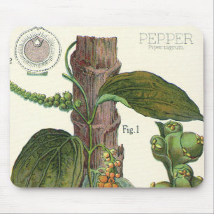 Tapis De Souris Herbes et épices alimentaires vintage, plante de p