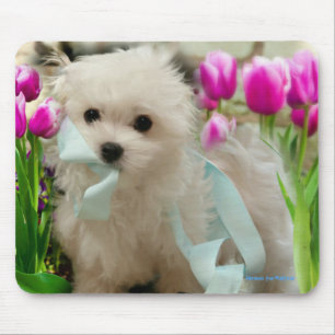 Tapis De Souris Hermes le Maltais