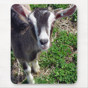 Tapis De Souris Hi There Chèvre
