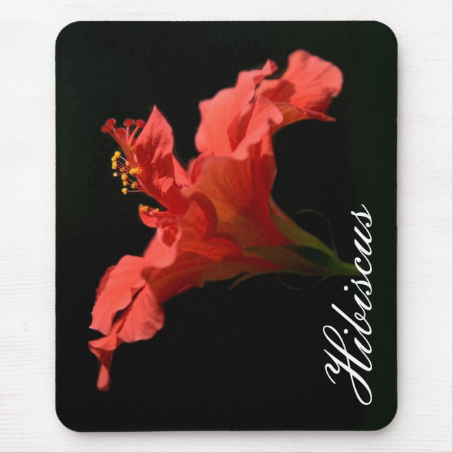 Tapis De Souris Hibiscus (Devant)