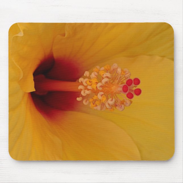 Tapis De Souris Hibiscus (Devant)