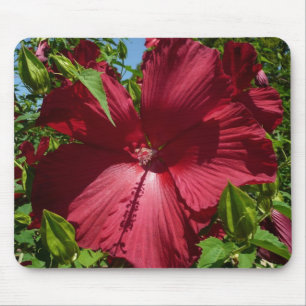 Tapis De Souris Hibiscus Flower and Blue Sky