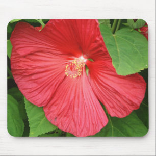 Tapis De Souris Hibiscus Flower Bright Magenta