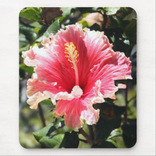 Tapis De Souris Hibiscus rose et prés Photo Mousepad