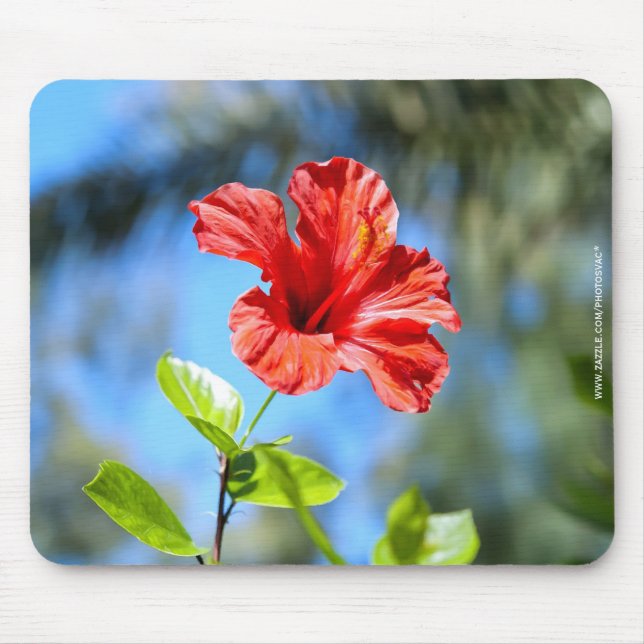 Tapis De Souris Hibiscus rouge (Devant)