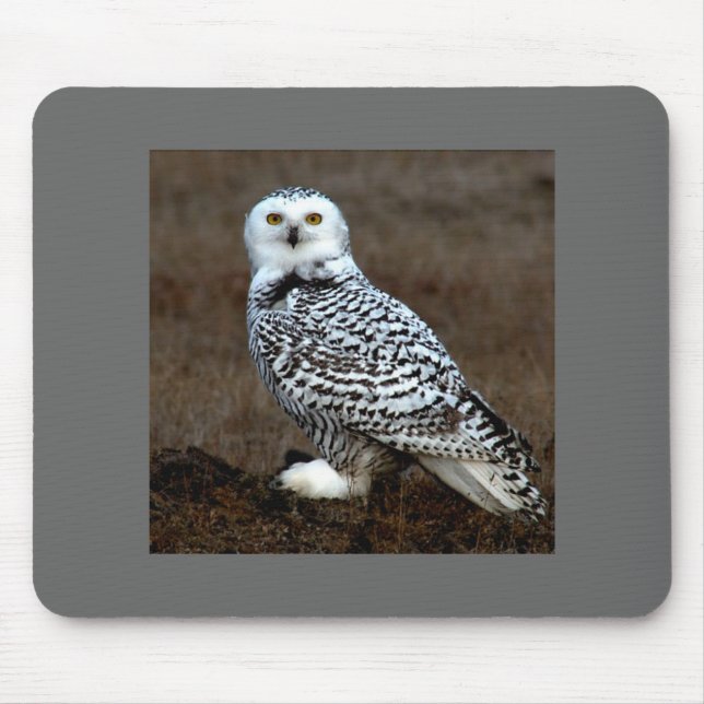 Tapis De Souris Hibou (Devant)