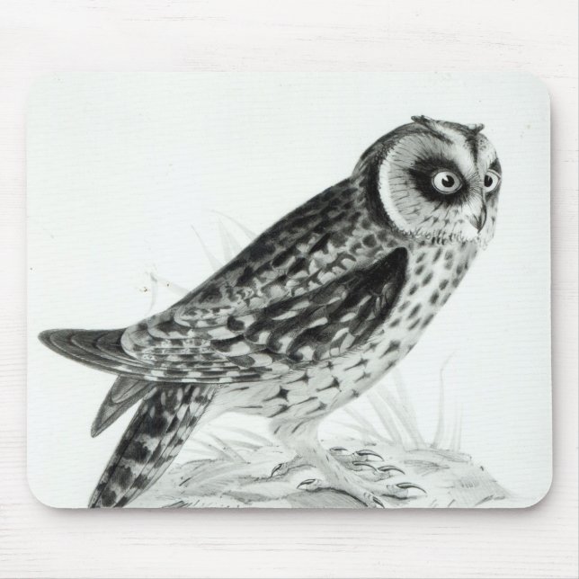 Tapis De Souris Hibou (Devant)