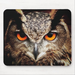 Tapis De Souris Hibou 3 Mousepads