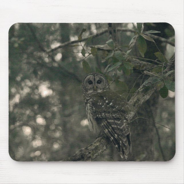 Tapis De Souris Hibou dans la forêt (Devant)