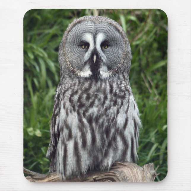 Tapis De Souris Hibou de grand gris (Devant)