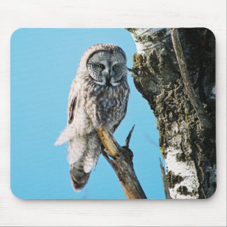 Tapis De Souris Hibou de grand gris Mousepad