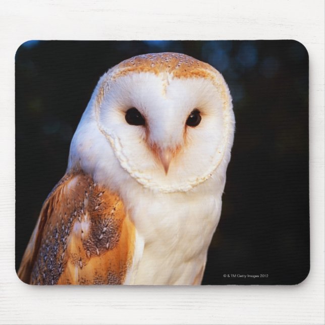 Tapis De Souris Hibou de grange (Devant)