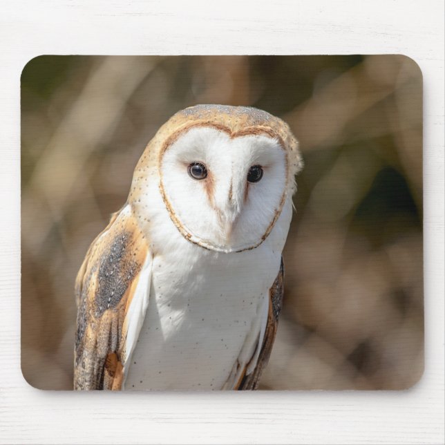 Tapis De Souris Hibou de grange (Devant)