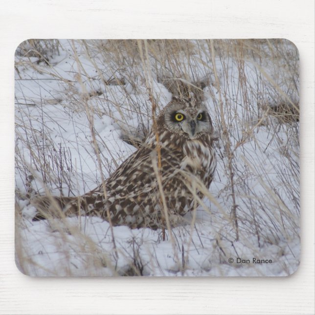 Tapis De Souris Hibou des marais B11 (Devant)