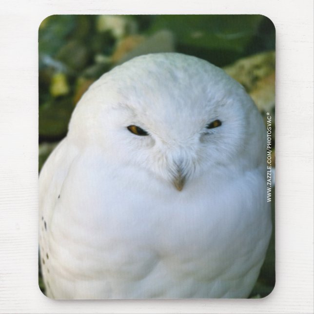 Tapis De Souris Hibou des neiges (Devant)