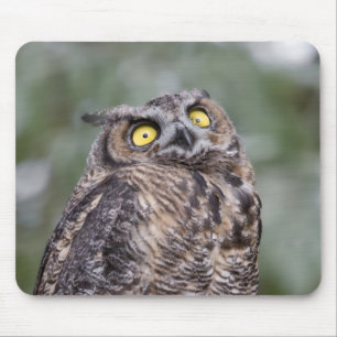 Tapis de souris Hibou Goofy