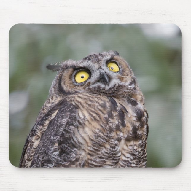 Tapis de souris Hibou Goofy (Devant)