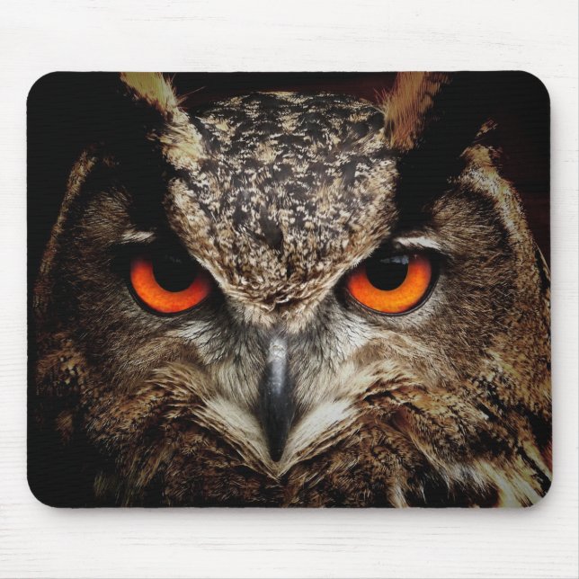 Tapis De Souris hibou, oiseau, animal (Devant)