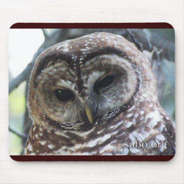 Tapis De Souris Hibou repéré par Mexicain Mousepad (Devant)