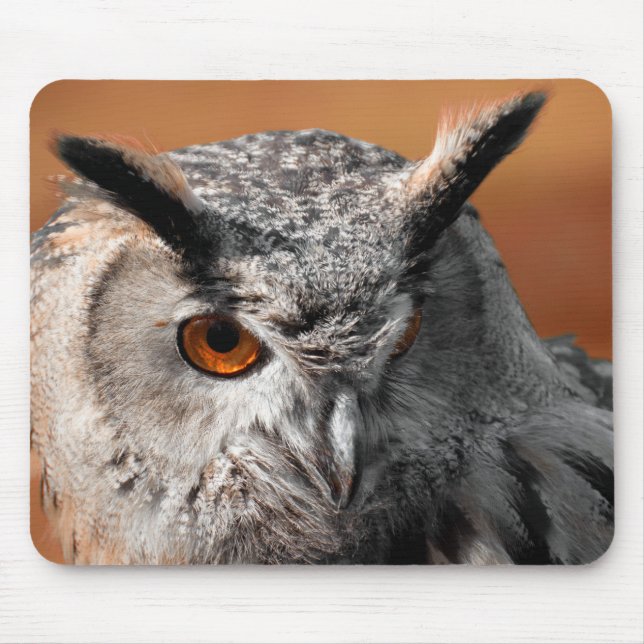 Tapis De Souris Hibou Stare (Devant)