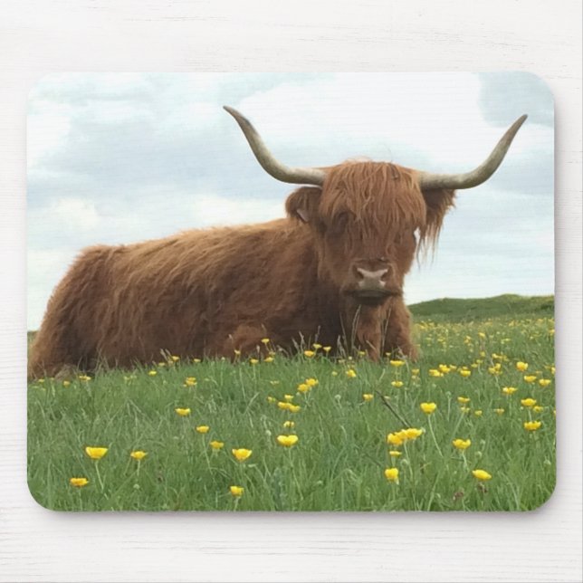 Tapis De Souris Highland Cow (Devant)