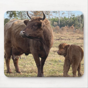 Tapis De Souris Highland Cows Mama et Baby Calf Têtes de tournage