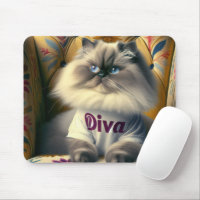 Himalaya Diva Chat sur une chaise