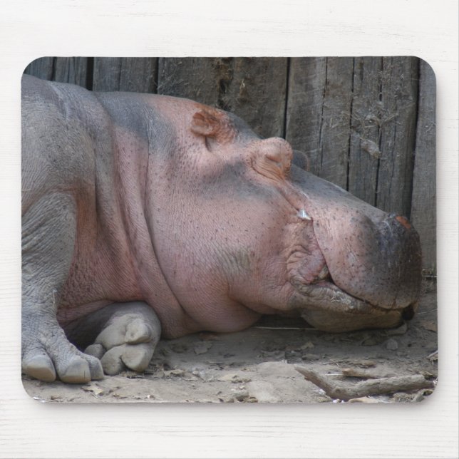 Tapis De Souris hippo2-4 (Devant)
