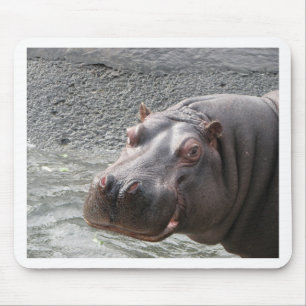 Tapis De Souris Hippopotame hardi !