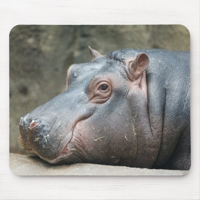 Tapis De Souris Hippopotame mousepac (Devant)