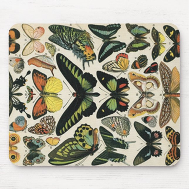 Tapis De Souris History naturel Butterfly (Devant)