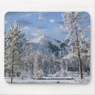Tapis De Souris Hiver dans le parc national de Yellowstone, Wyomin