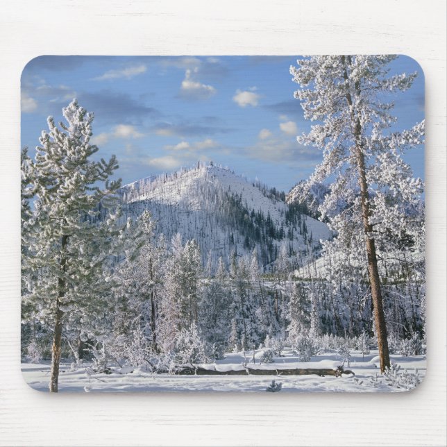 Tapis De Souris Hiver dans le parc national de Yellowstone, Wyomin (Devant)