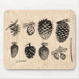 Tapis De Souris Hiver Pinecones Mousepad