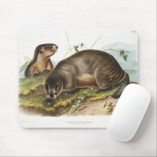 Tapis De Souris Hoary Marmot Camping Déco Cadeaux