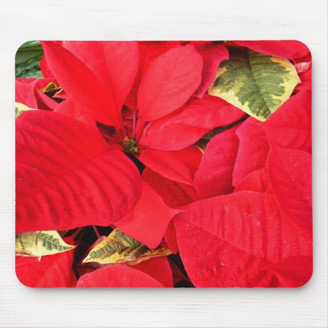Tapis De Souris Holly Point Poinsettias vacances Floral (Devant)