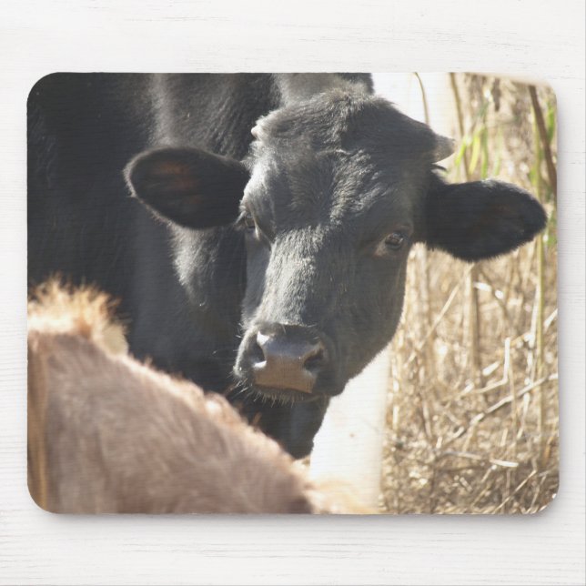 Tapis De Souris Holstein Bull Mousepad (Devant)
