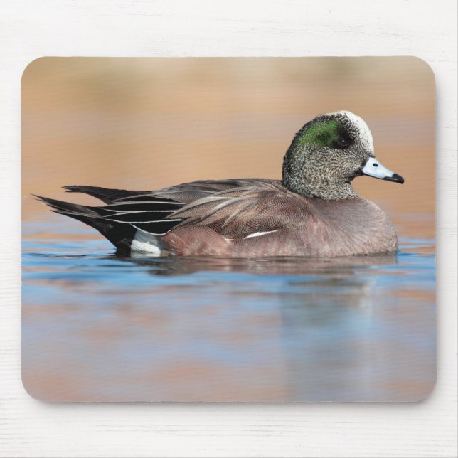 Tapis De Souris Homme American Wigeon (Devant)