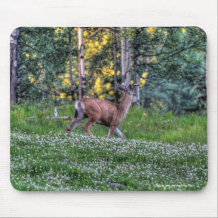 Tapis De Souris Homme Deer Buck sur Ranch Wildlife Photo
