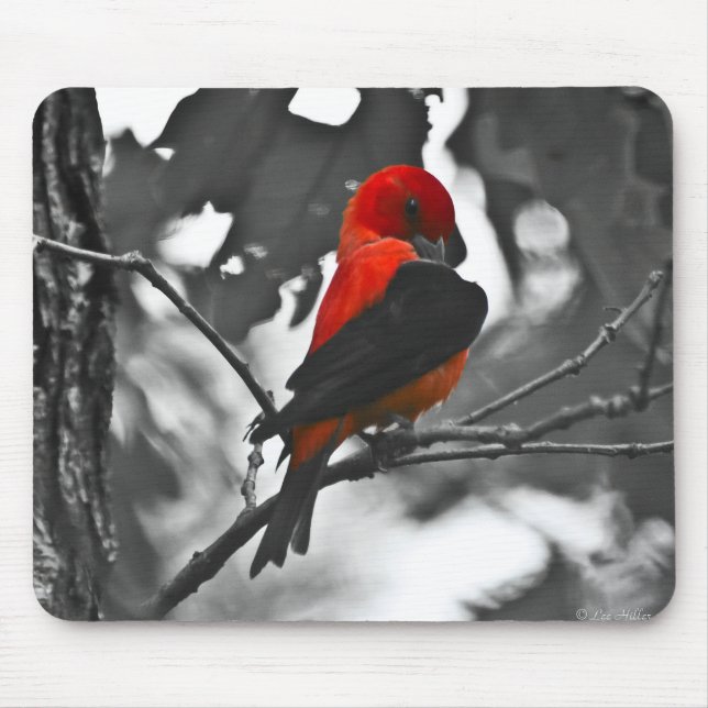 Tapis De Souris Homme Scarlet Tanager (Devant)