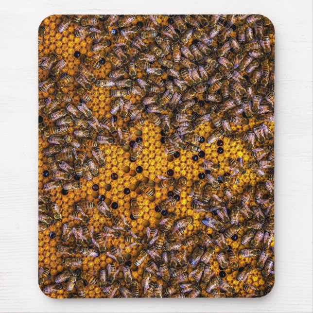 TAPIS DE SOURIS HONEY BEES (Devant)