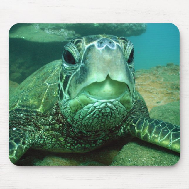 Tapis De Souris hono (Devant)