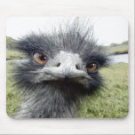 Tapis De Souris Hooks<br><div class="desc">****************************************************************************************************************************************************************************************************************************************************************</div>