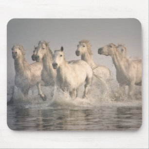Tapis De Souris Horse Galloping in the Mediterranean Water