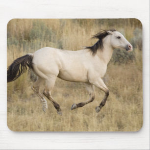 Tapis De Souris Horse Running Through Prairie Grass
