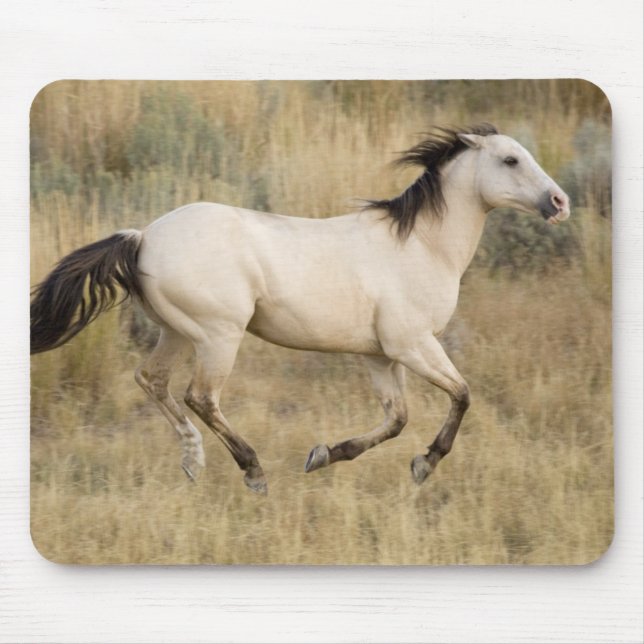 Tapis De Souris Horse Running Through Prairie Grass (Devant)