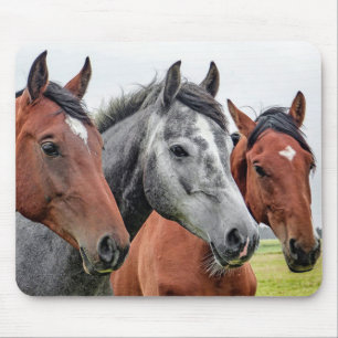 Tapis De Souris Horses