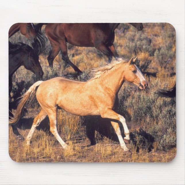 Tapis De Souris Horses Running a Ponderosa Ranch (Devant)