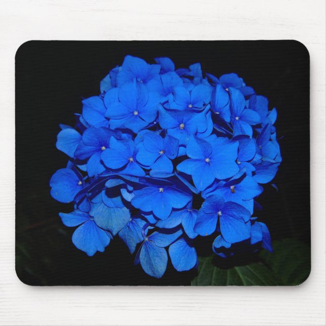 Tapis De Souris Hortensia bleu Mousepad (Devant)
